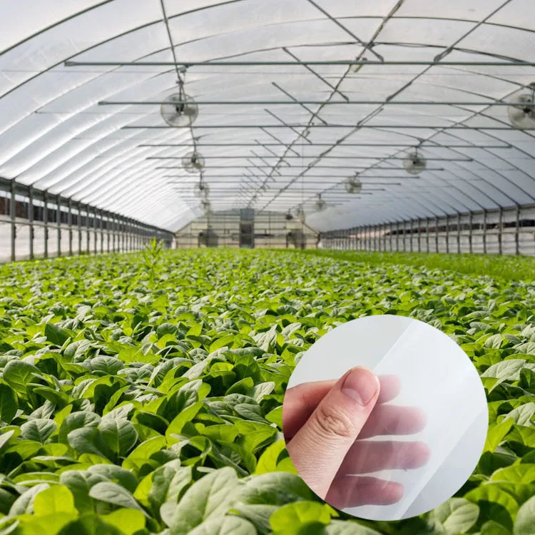 200 Micron PE Greenhouse Film Double Layer UV Resistant Anti-Drip Agricultural Plastic Cover for Garden Mini Greenhouse 0