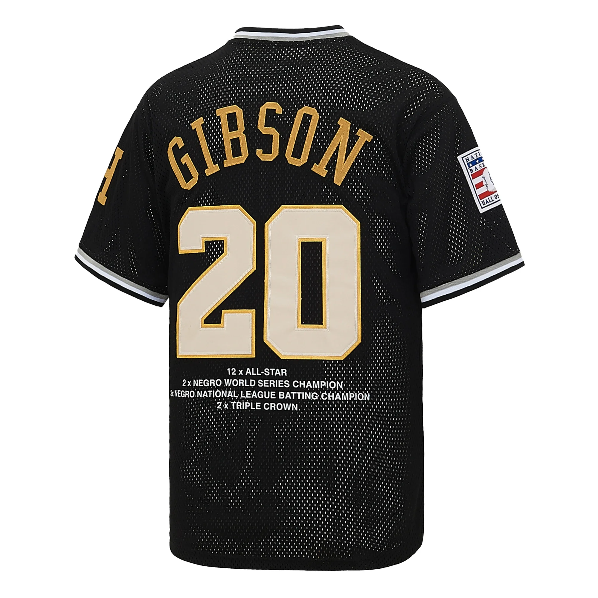 Men's Homestead Grays Josh Gibson #20 Baseball Jersey Embroidered V-Neck Pullover Negro League 1972 Fan Apparel Unisex