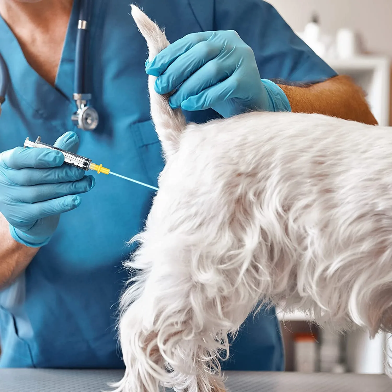 50 piezas de varillas de inseminación Artificial desechables, tubo de varilla de cría desechable, tubo de catéter de cría Flexible para perro