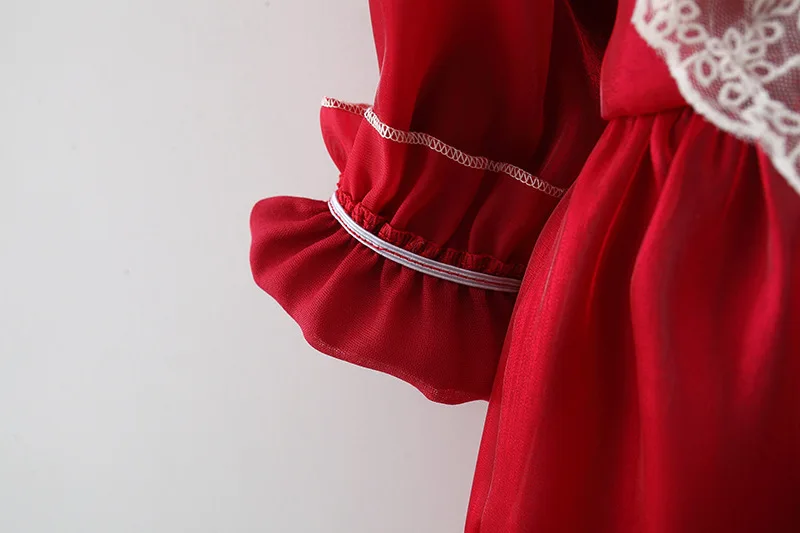 Herbst Winter Baby Mädchen Gericht Kleider Langarm Kinder kleidung Spitze europäischen und amerikanischen Stil Kinder kostüm 0 bis 3 Jahre – Detail 14
