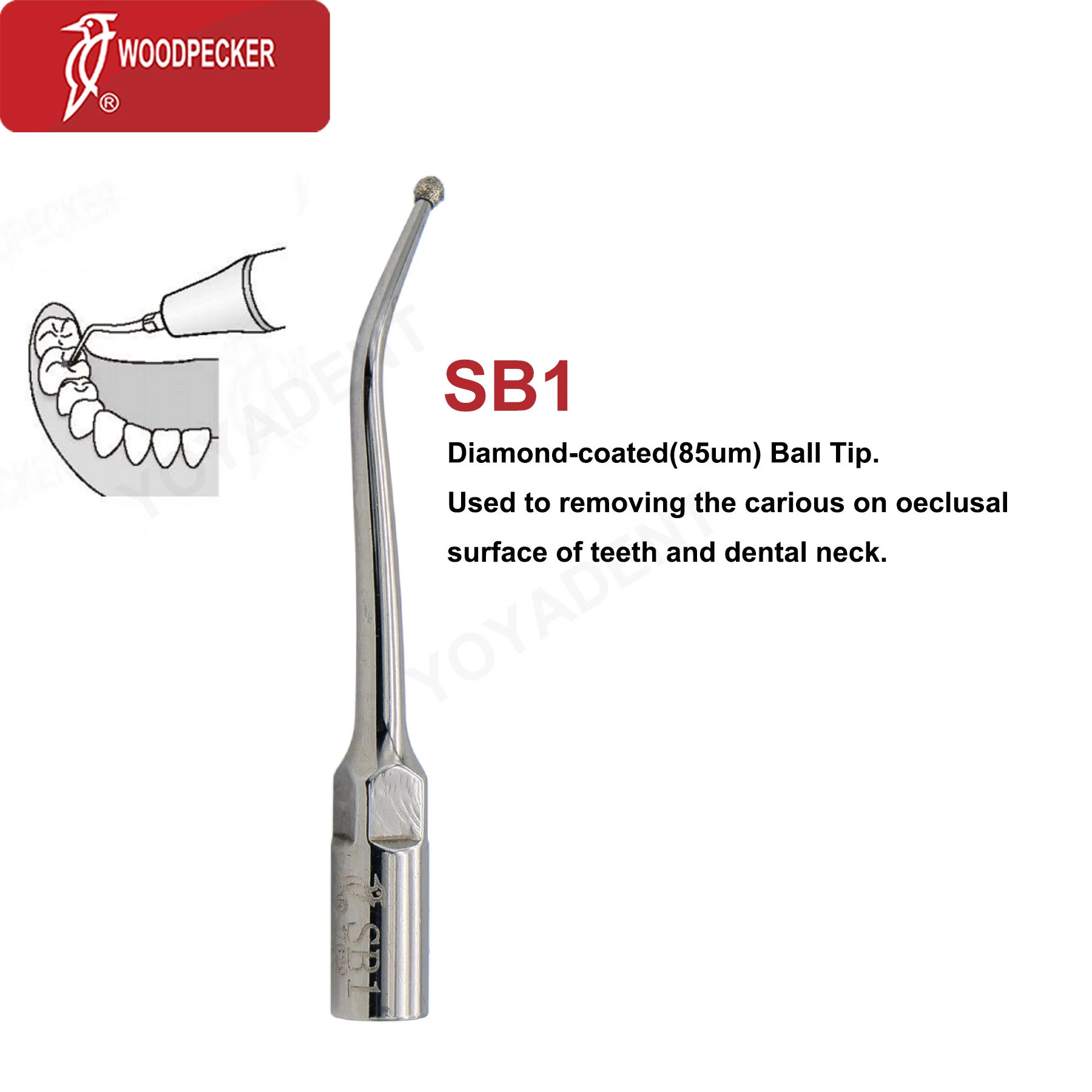 Original Woodpecker DTE Dental Scaler Tips Ultrasonic Scaling Tip Cavity Preparation Fit EMS SATELEC NSK Scaler Handpiece SB/SBD