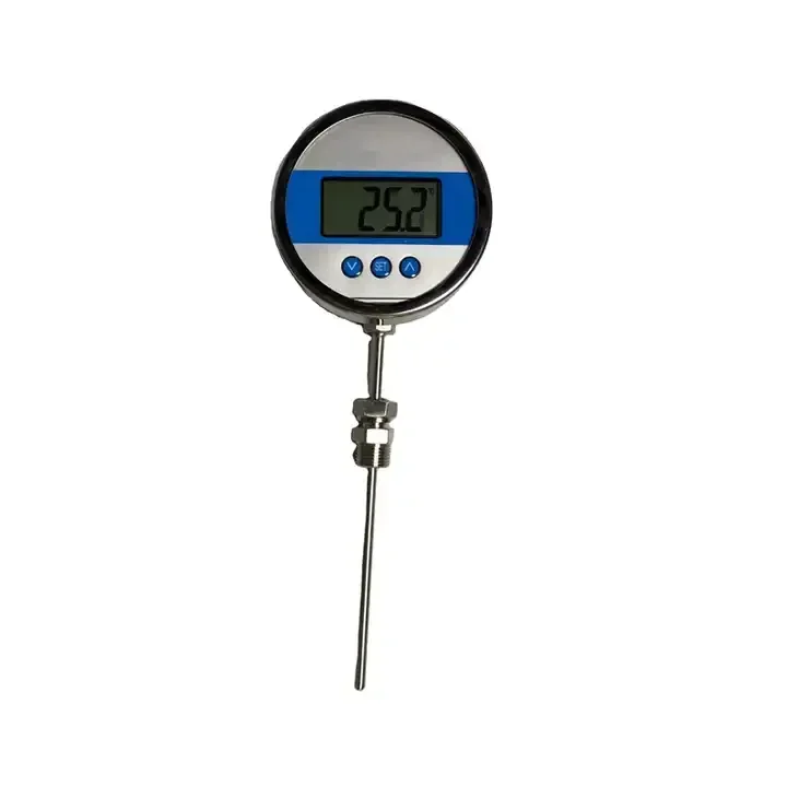 

Battery power ss304 Probe Temperature Control Digital Display Thermometer 100mm 200mm 300mm