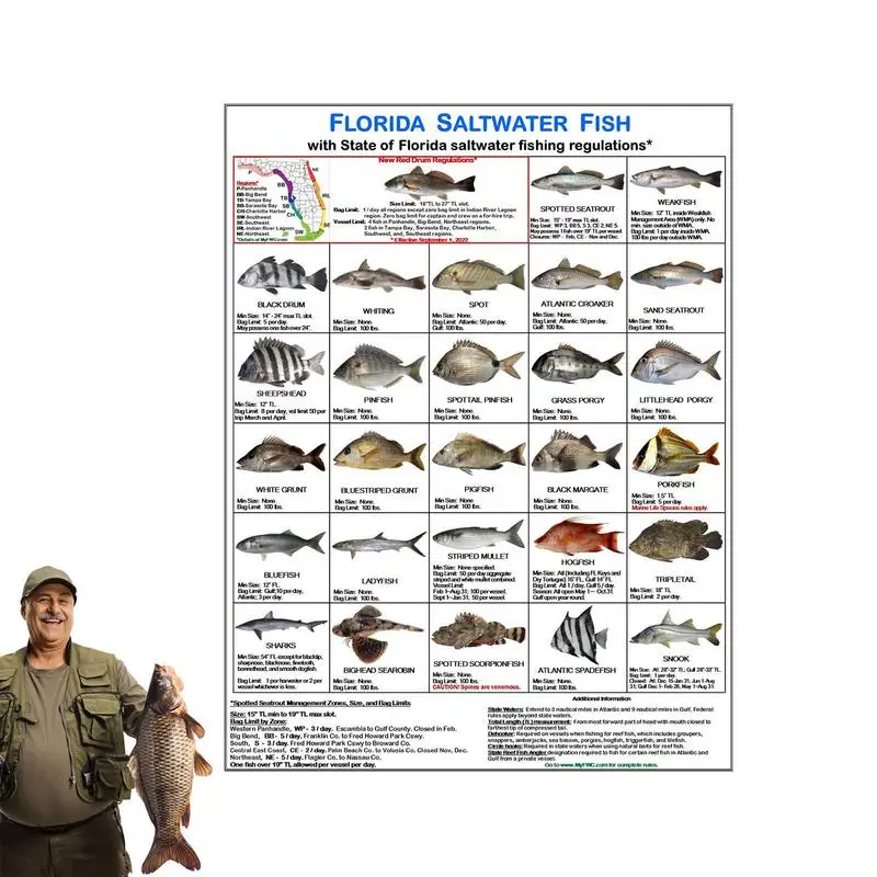 Florida Saltwater Fish Identification Card Magnetic Card With Fish Species Guide Florida Saltwater Fish Identification Card For