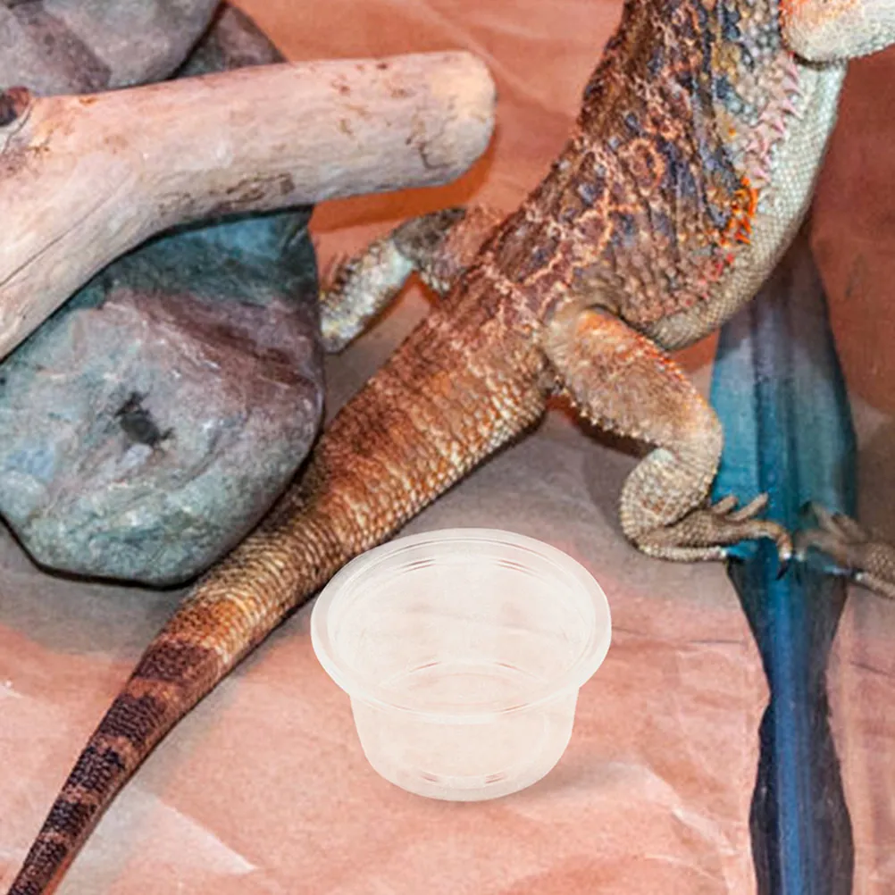 

50 шт. прозрачных пластиковых мисок для воды и корма для рептилий, устойчивые, маленькие, для гекконов, змей, ящериц, лягушек, террариумов