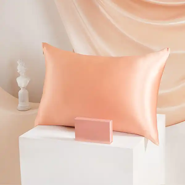 100% Natural Mulberry Silk Pillowcase 19MM With Hidden Zipper Suitable For Hair Real silk pillow case with Oeko-tex 