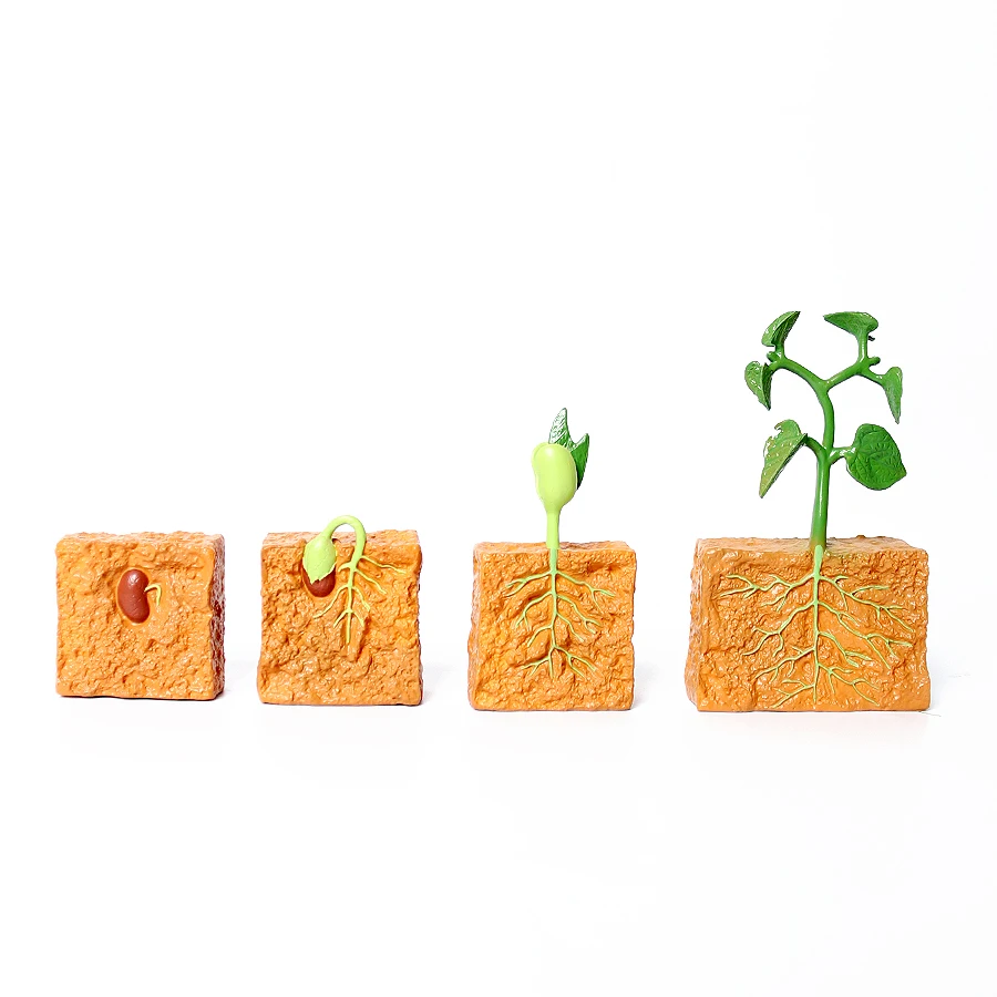 動物のライフサイクル モンテッソーリ プラスチック製 カメ タコ 白鳥 豆の形をしたフィギュアセット 動物フィギュア アクションフィギュア モデルおもちゃ 子供向けギフト