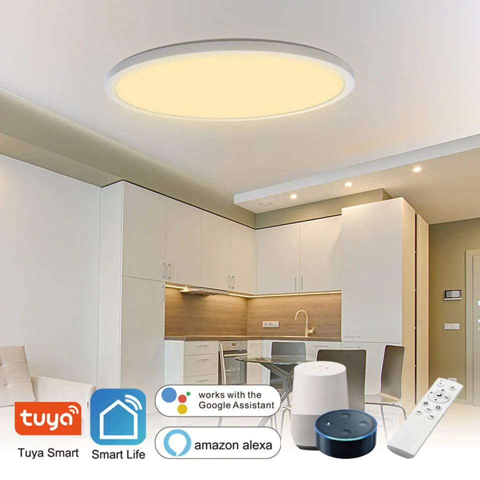 Emergency 300mm 400mm indoor hotel living room Alexa Google home RGB CCT dimmable smart lighting home ceil light