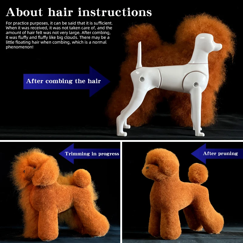 Teddy Pet Simulation Hair Beauty Fake Beautician Practicing Dog Standard Teddy Full Body Fake Head, Skeleton Model, Pet Groomer