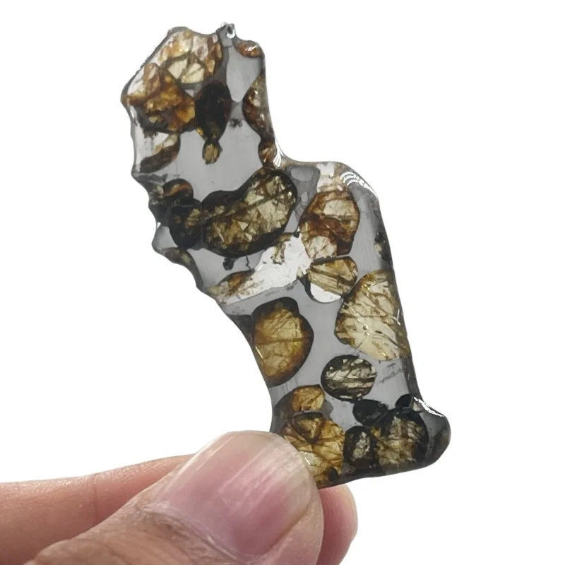 Seymchan Pallasite Meteorite Curved Irregular Polished Slice Natural Olivine Crystal Cosmic Mineral Specimen Space Rock CA113