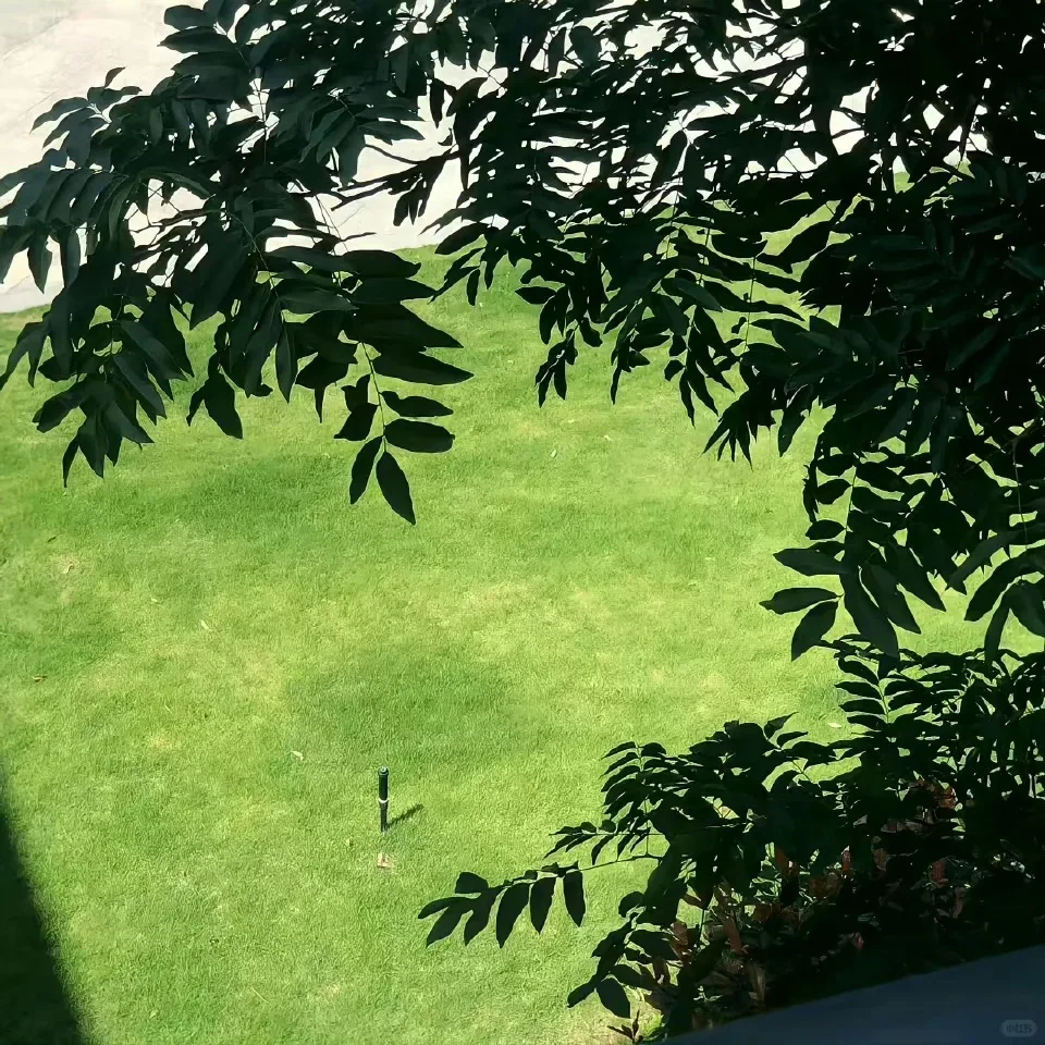 

IPS Android 13.0 8+256G Radio Multimedia Player For Jaguar XJ 351 2009-2016 Car GPS Navigation Auto Stereo Head Unit DSP Carplay