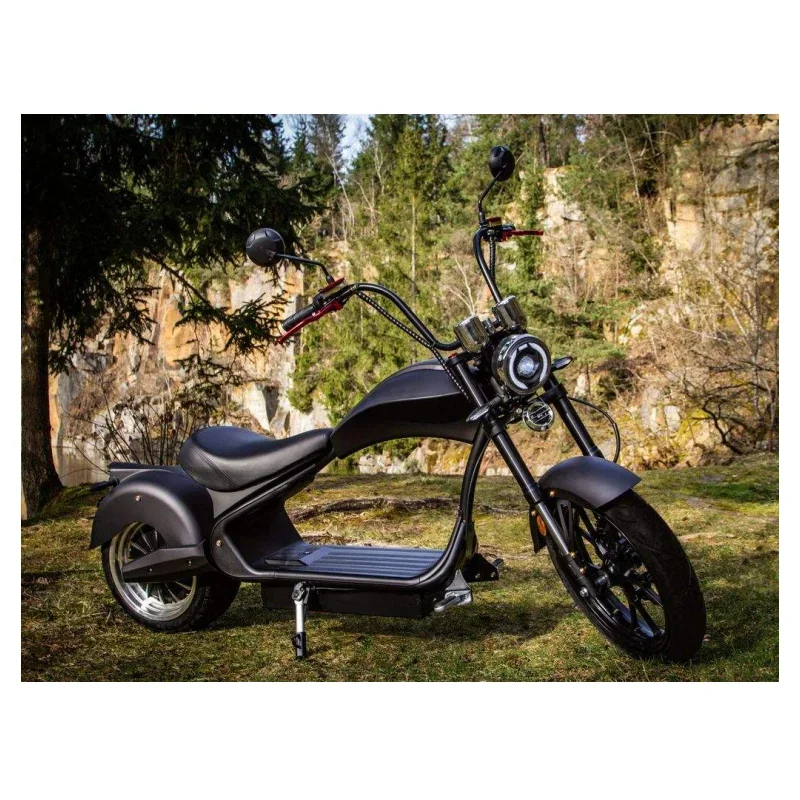 

Factory Price citycoco EEC DOT Chopper Electric scooters 50ah Moped with long range