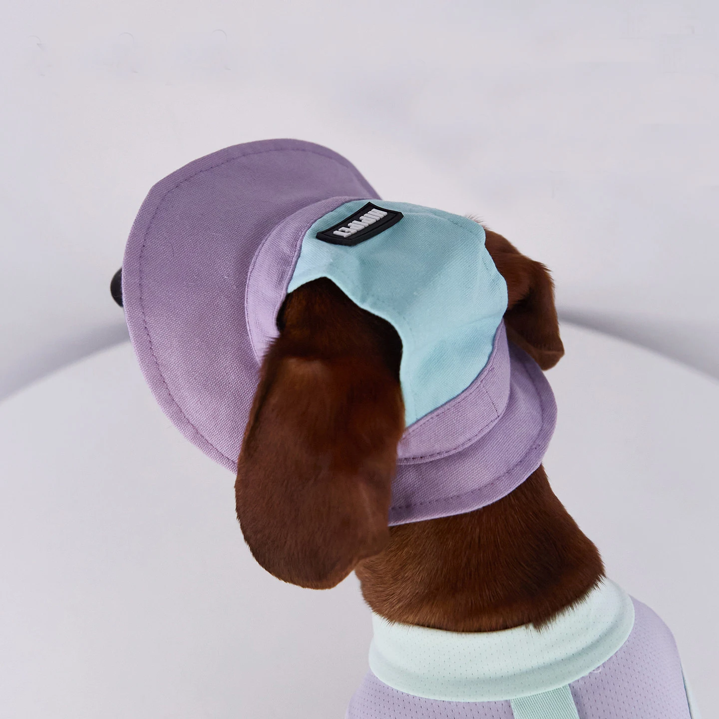 Gorra de sol con visera para perros cachorro - Ideal para exteriores - imagen 4
