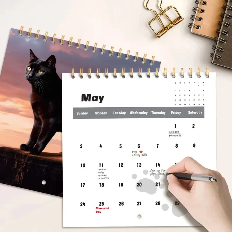 

Kitten Calendar 2026 Monthly Wall Hanging Calendars Cute Funny Cat Pet 2026 Cat Calendar For Cat Lovers Funny Cats Calendar