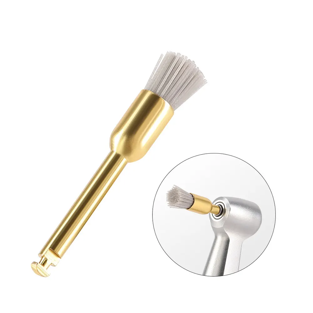 10PCS AZDENT Dental Polieren Pinsel Aluminium Oxid Siliziumkarbid Polieren Prophy Pinsel Werkzeug für Contra Winkel Handstück – Detail 7