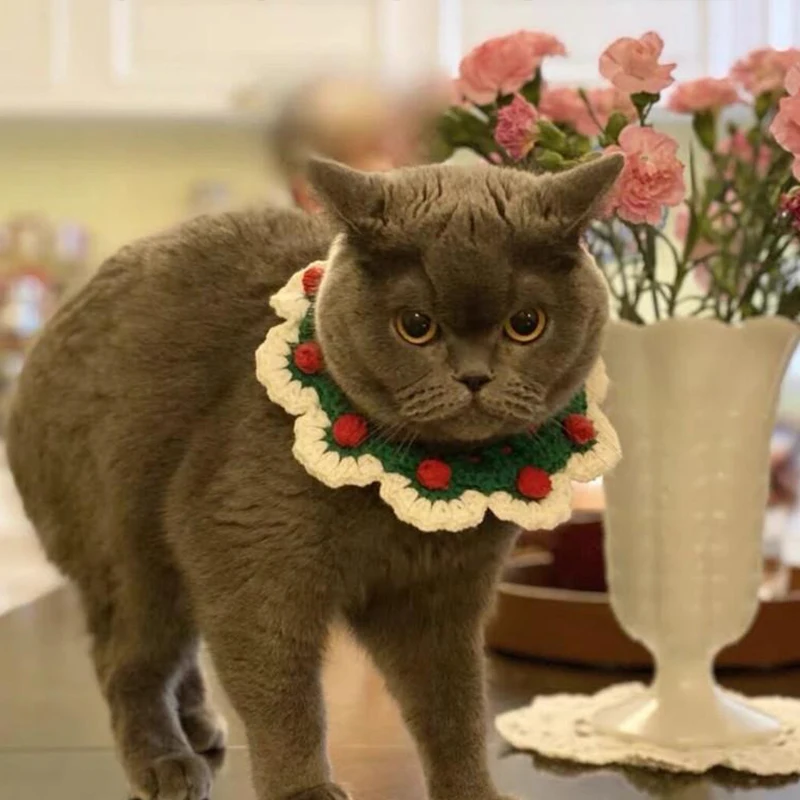 Tecelagem princesa gato pescoço colar quente inverno bonito acessórios para buldogue francês tricô lã respirável pet gatinho colares