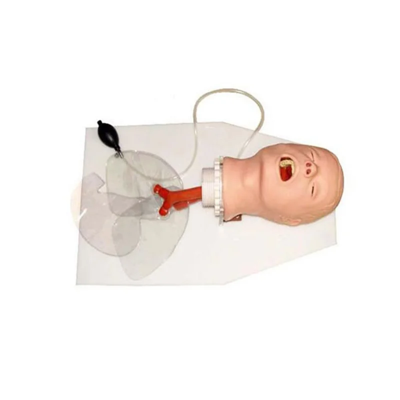 

BIX-J50 Medical Teaching and High Quality Trachea Intubation Training Model