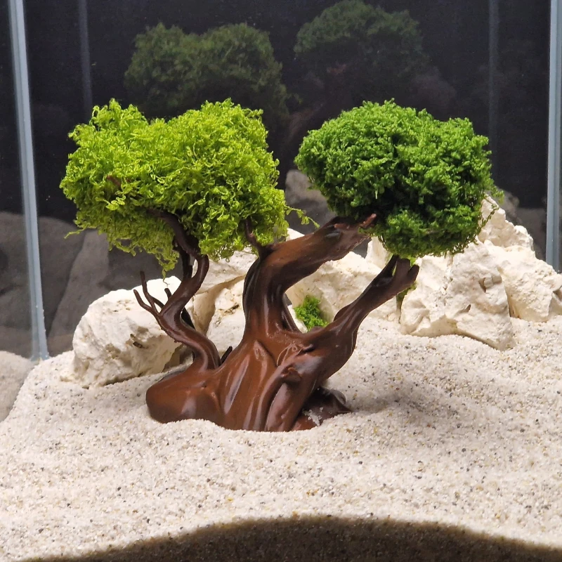 Water-Land Dual Use…