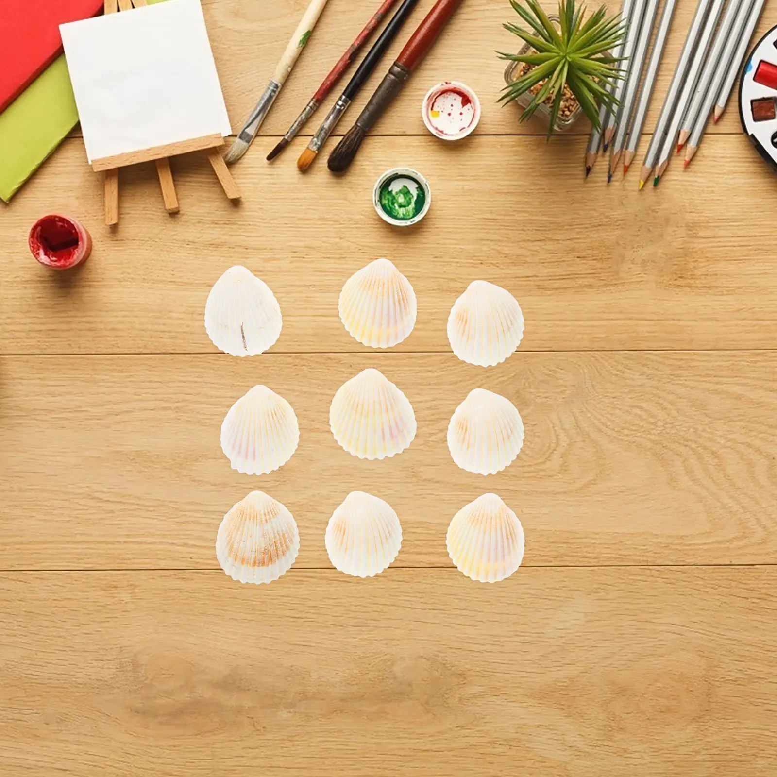 

10pcs Shell Decoration Fish Tank Decorations Conch Seashell Hanging Craft Beach Sea Shells for Crafting Kindergarten Wall Party