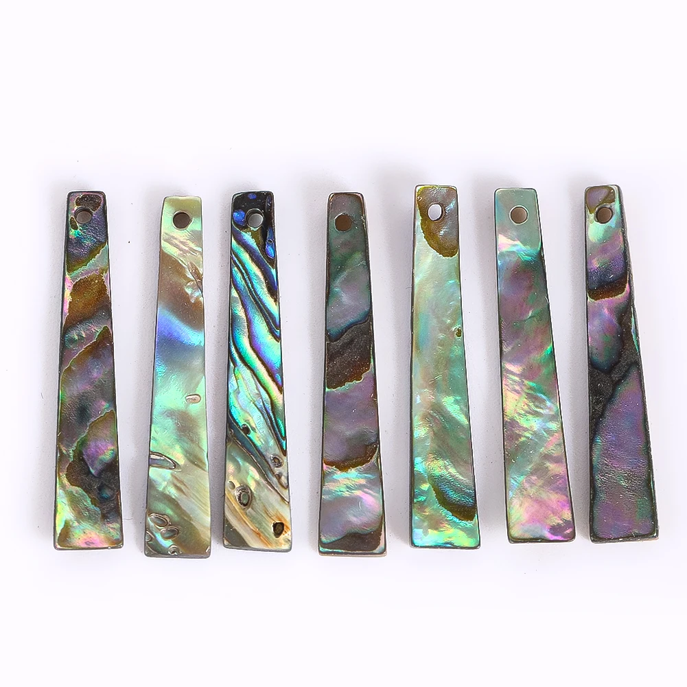 2PCS Natural Abalone Shell Pendant Hanging Decor Iridescent Paua Shell Beads Charms for Earring Bracelet Necklace Jewelry Making