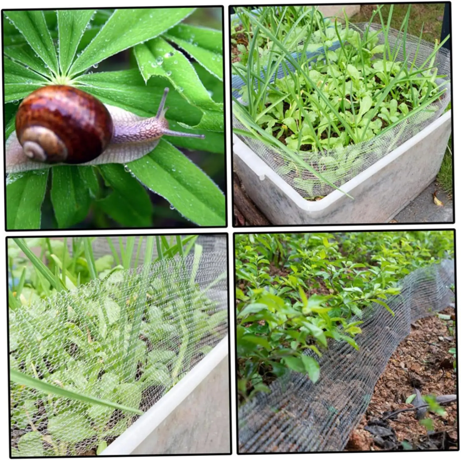 20/30Ft شبكة نحاسية نقية التقطير Moonshine المنزل المشروب البيرة المنسوجة تصفية الصحية الغذاء الصف الفئران الفجوة توصيل حاجز شبكة #2