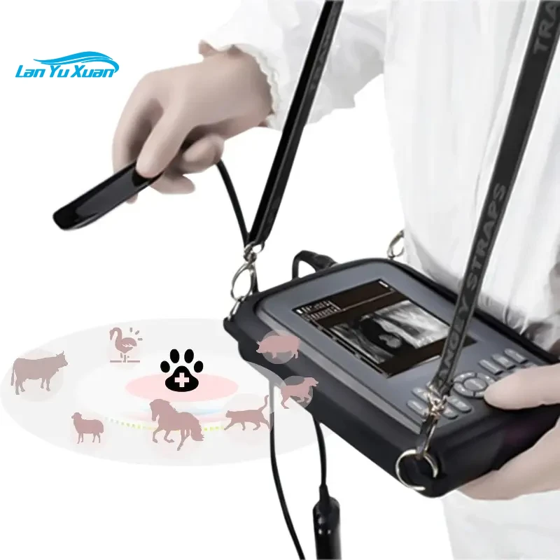 

Smart F Vet Handheld Vet Portable Digital 5 Inches Ultrasound Machine Veterinary Ultrasound