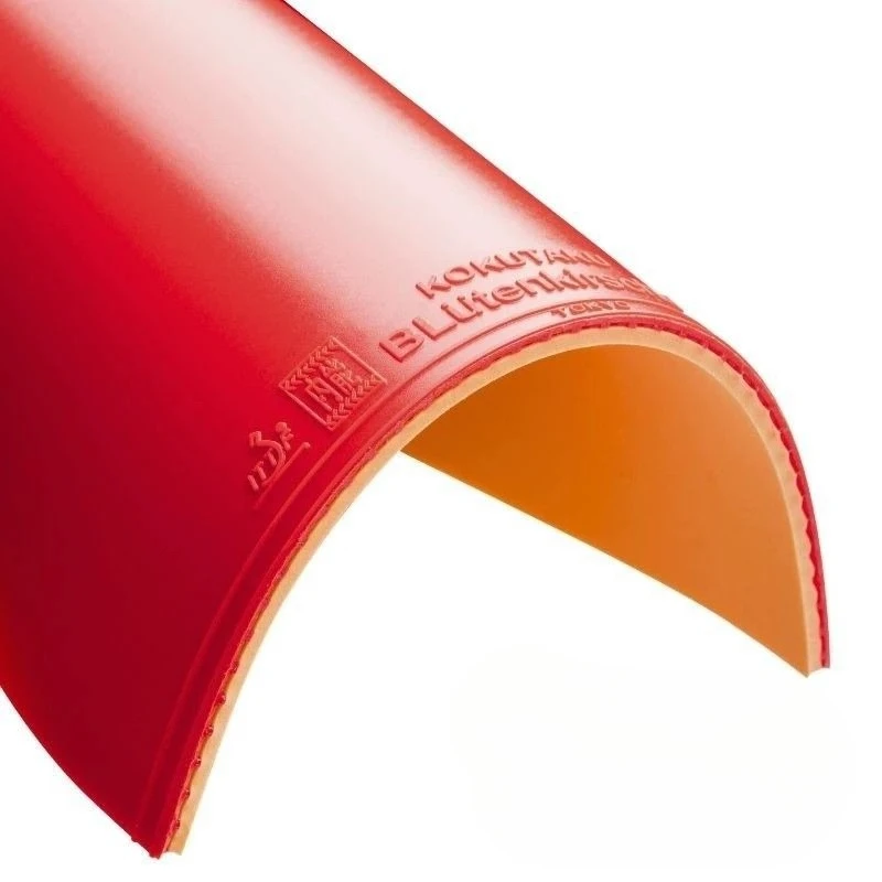 KOKUTAKU Professional Table Tennis Inverted Rubber, SAMURAI Rubber Sheet Internal Energy Sponge