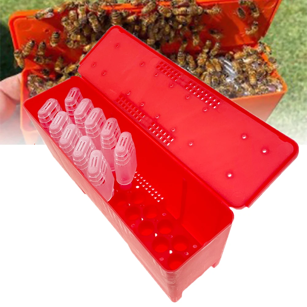 

JZBZ Shipping Battery Box Queen Cage Catcher Candy Caps Post Transport Caging Cells Anti Bite Rearing Kit Beekeeping Farm Tool