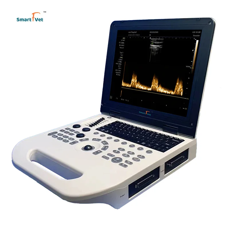 Veterinary Instrument Notebook Portable Full Digital Sheep/Swine/Cattle preg nancy Ultrasound Machine B/W Laptop  Scanner