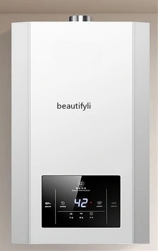 

Water heater for household natural liquefied gas frequency conversion energy-saving and strong discharge type
