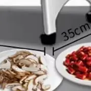 Electric Vegetable …