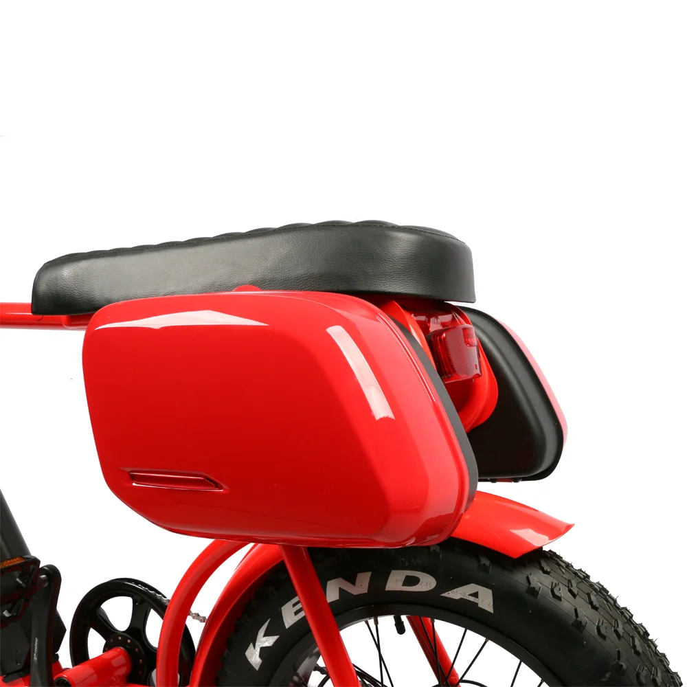 Full Suspension Electric Bike Aluminum Alloy Frame City E Bike 48v 1000w E Bike Fat Tire Conversion Kit with Side Boxes view 6