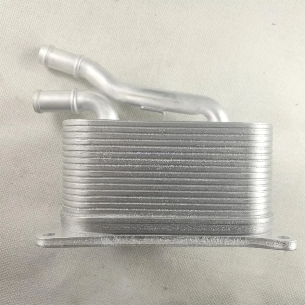 Minyak Pendingin Minyak Radiator 079117015B