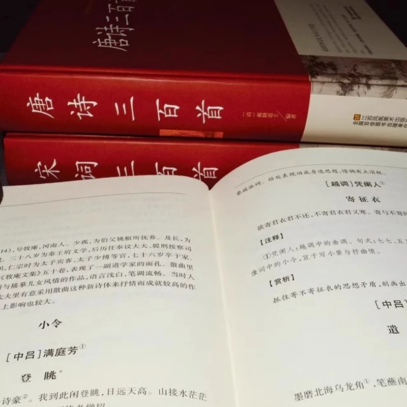 Tres cien poemas canciones, una análisis detallado de la traducción de la colección completa de poesía china antigua