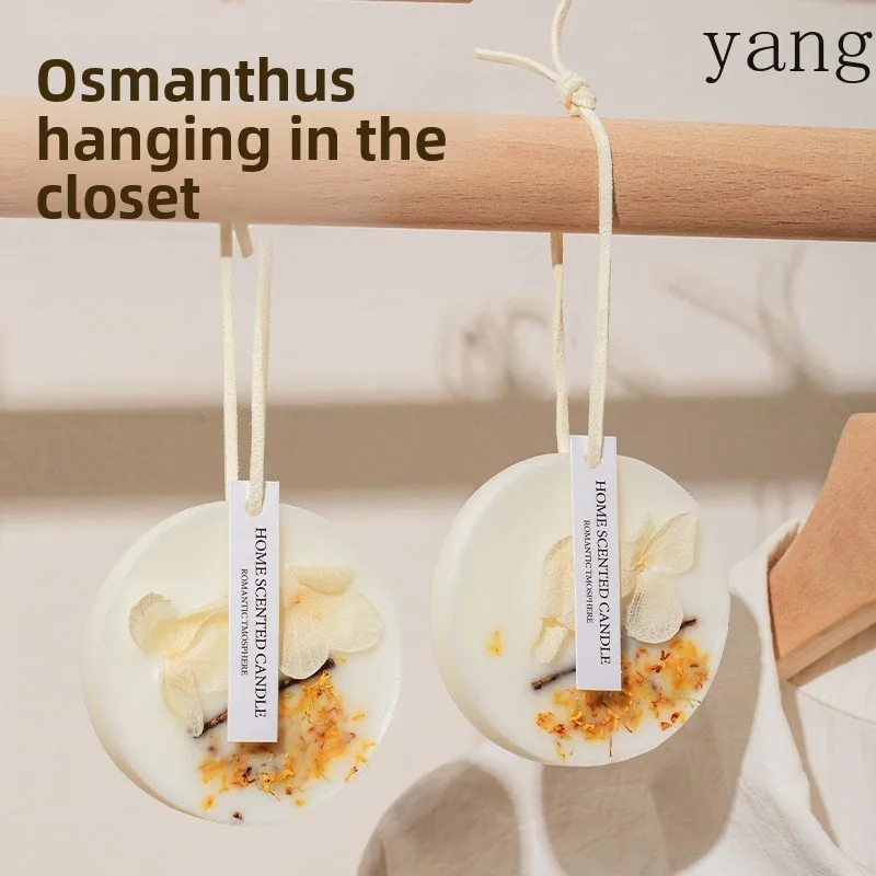 CX Wardrobe Fragrance Pieces Household Indoor Long-lasting Bedroom Deodorant Clothes Fragrance Pendant
