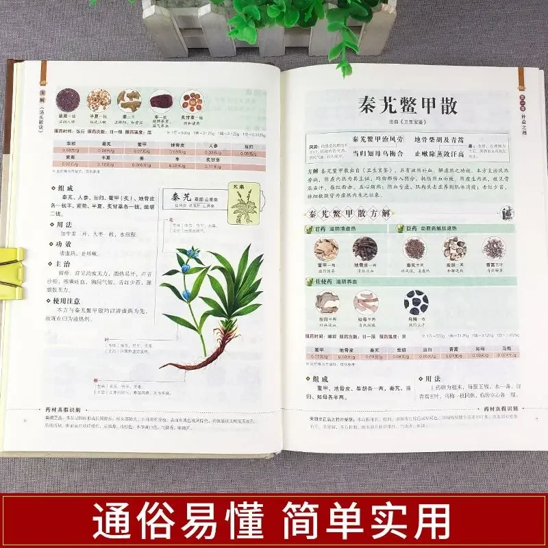 Complete Explanation of The Soup Formula, Full-color Pictures and Text, TCM Health and Recuperation Secrets Theory Books