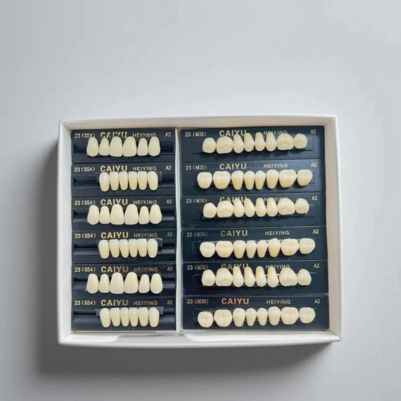 Fotografia 6: 1 Caixa de Dentes de Resina Dental, Dentes de Resina Acrílica Sintética A1 A2 A3, Próteses Dentárias Pré-formadas para Arcada Superior e Inferior, Suprimentos Odontológicos