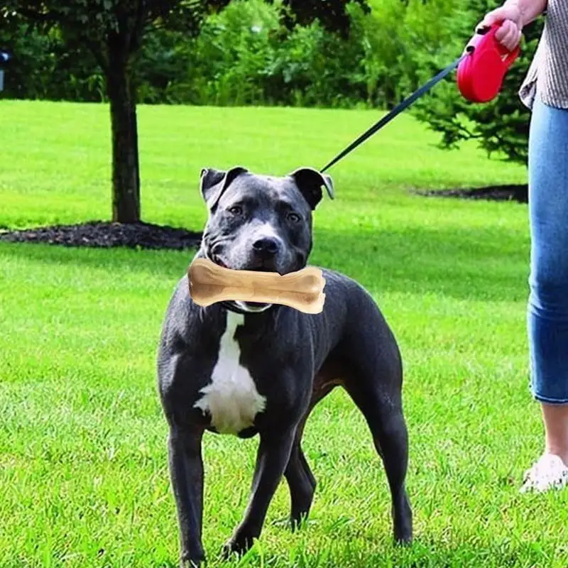 Cane dentizione osso sapore di manzo cucciolo masticare osso sicuro denti molari bastone pulito tratta cani ossa per cani di taglia media