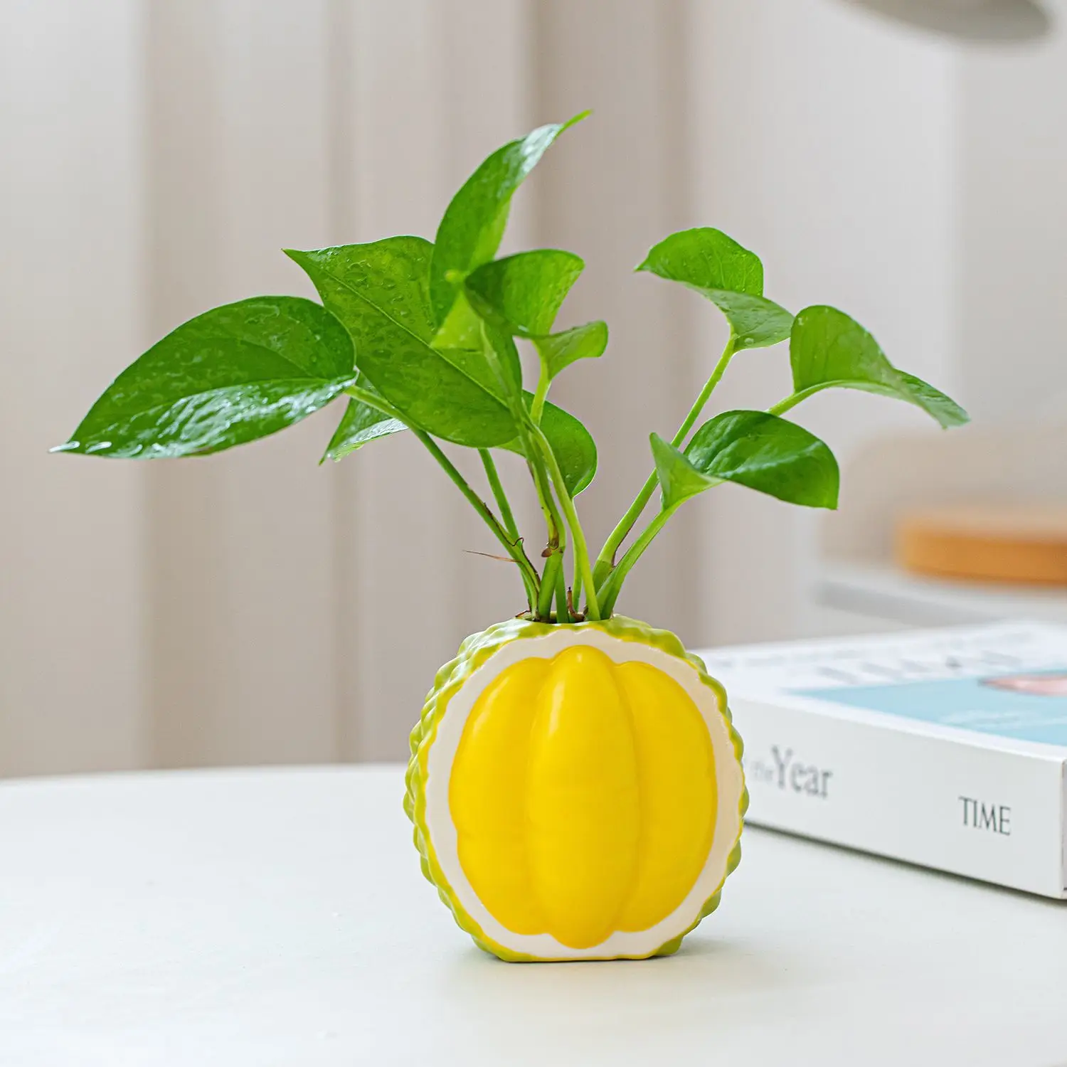 Creative ceramic imitation durian vase flower arrangement, water pothos, pothos, tabletop ornament vase ins-style high aesthetic
