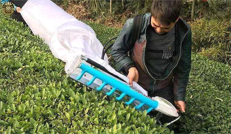 with Essential Motor and Gear ComponentsPortable Backpack Tea Leaf Picking Mini Harvester for Professionals