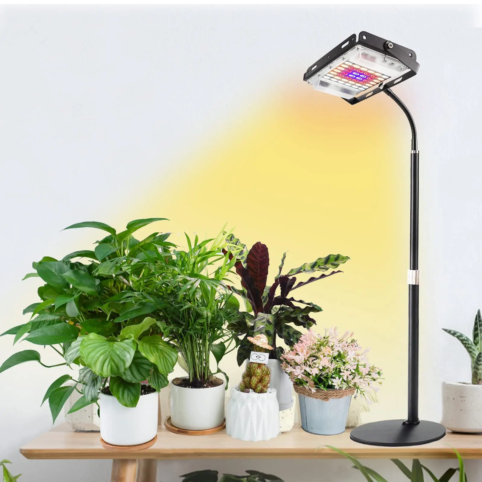 Desk LED Grow Light Stand , Table Top Spectrum Houseplant Growing Lamp with Timer 9/12/15H, 38-67cm Height Adjustable 360° Gooseneck for Indoor Plants Succulent