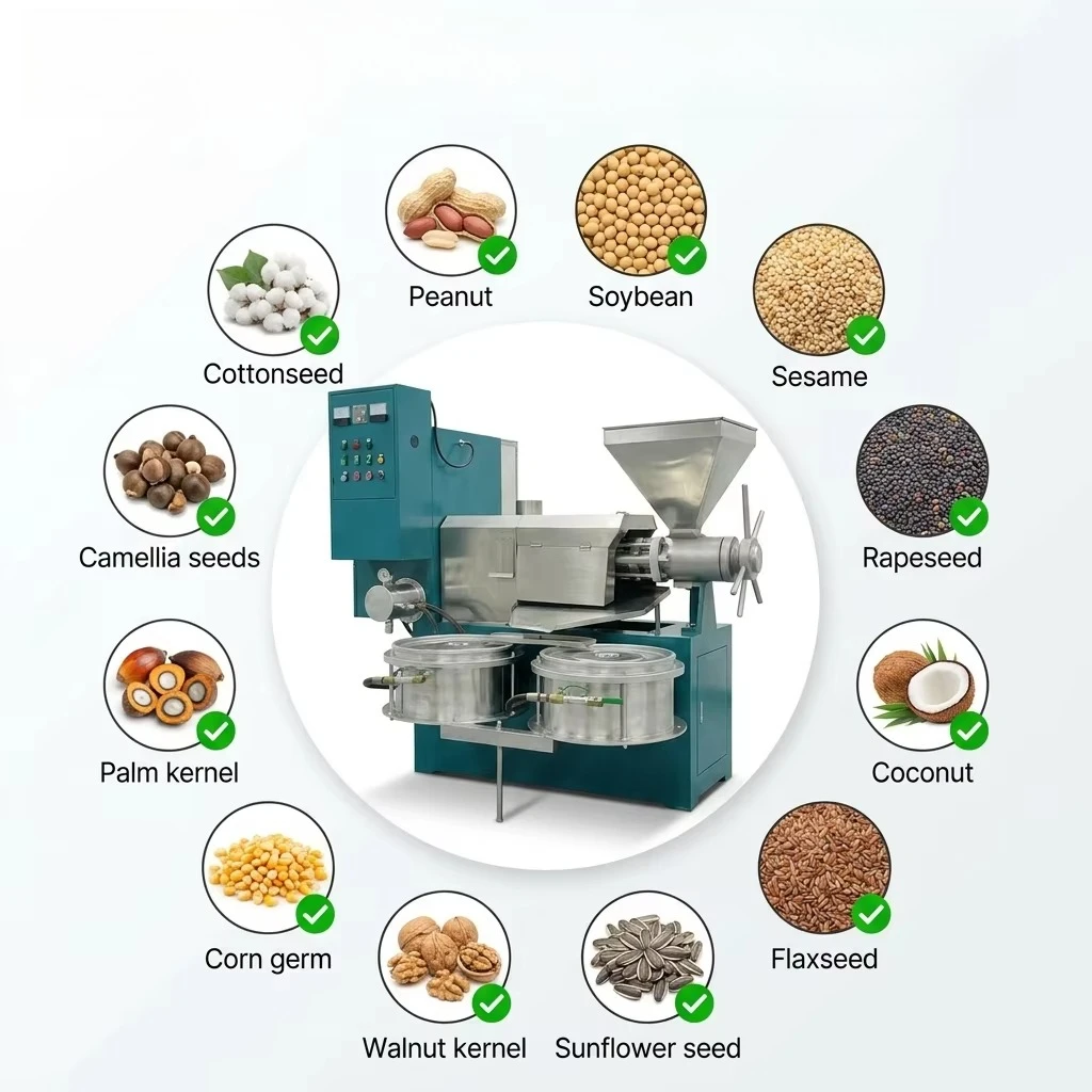 Fast Extraction Cold Press Oil Machine Stainless Steel for Sunflower Seed, Sesame, Rapeseed