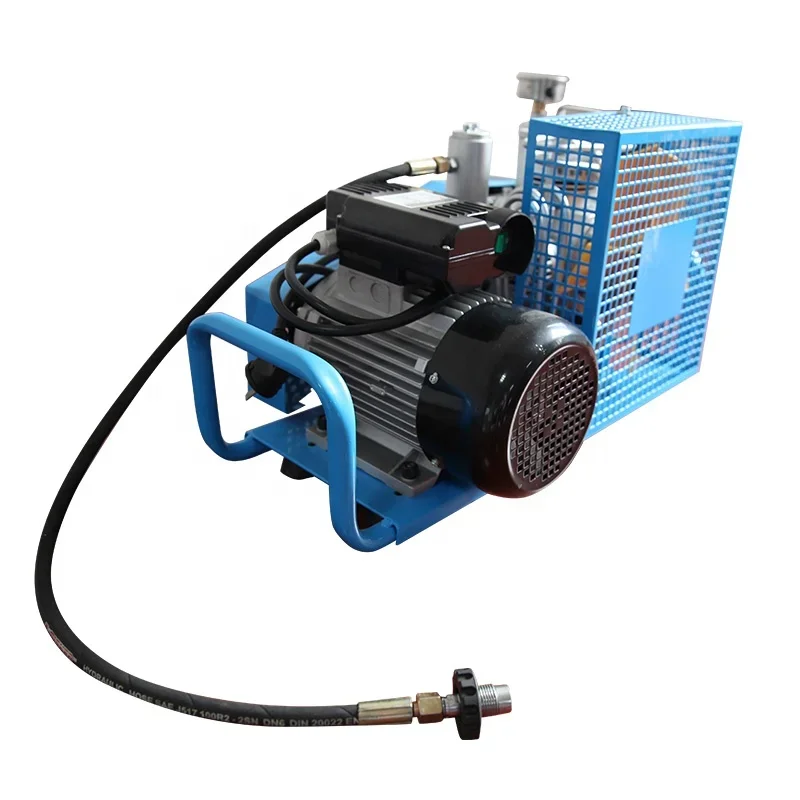 High pressure industrial electrical 300bar diving air pump 220V/230V/380V air compressor for sale