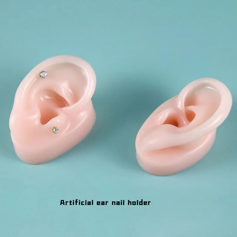 Soft Silicone Ear Model For Hearing Aid 1:1 Human Ear Ear Model Simulation Display Props Teaching Tools Jewelry Display Earrings