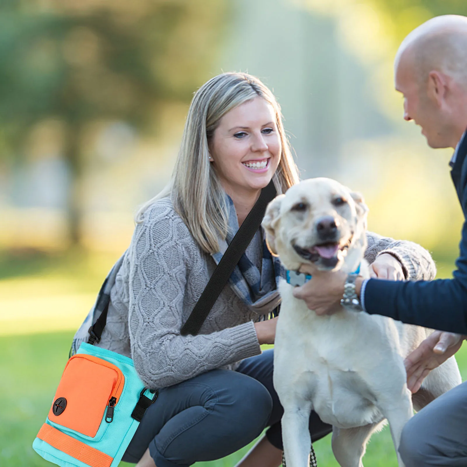 

Pet Training Bag Wear-resist Dog Treat Pouch for Treating Puppy Food Orange Poop Man