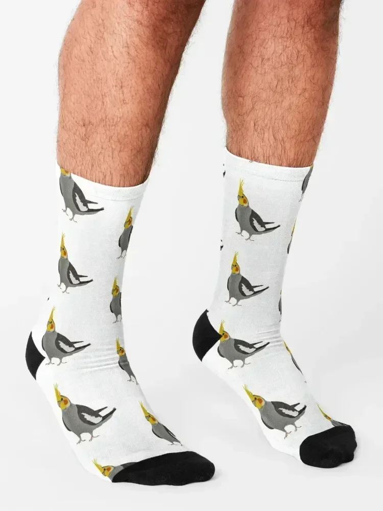 Cockatiel Parrot Calcetines algodón hombre Lotes medias navideñas Calcetines Mujer Hombre