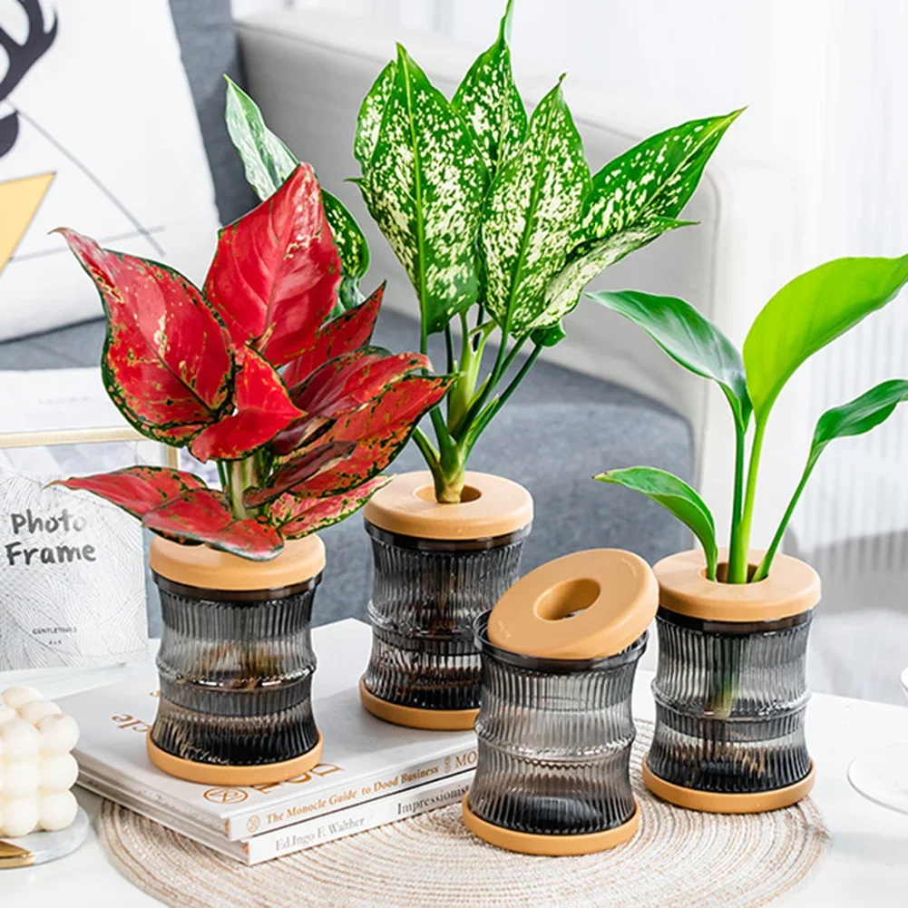 

Plant Self-Watering Transparent Plastic Flower Vase Flowerpot Self Watering Flower Pot Home Vase Decoration Desktop Garden Pots