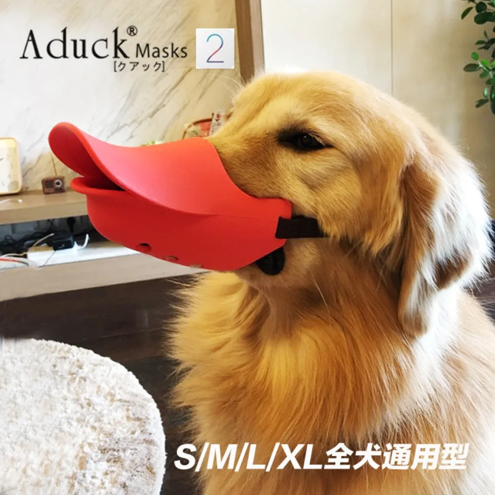 

Dog Bite Prevention Called Duck Muzzle Teddy Golden Retriever Muzzle Prevention Picking Up Food Large Dog Bite Mask