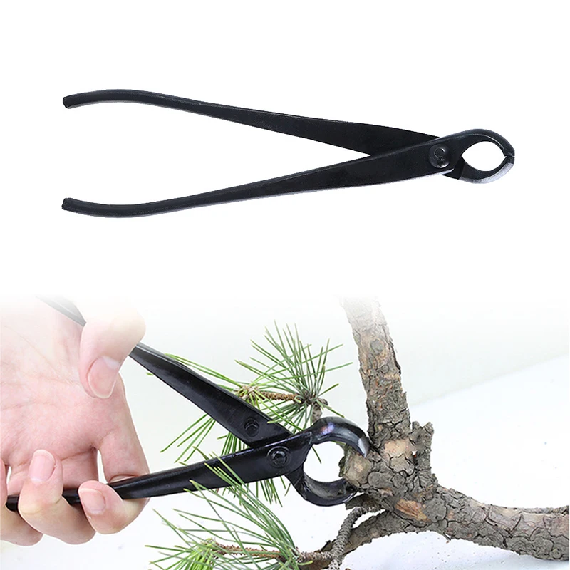 

Bonsai Ball Node Trimmers Carbon Steel 210mm Landscape Modeling Garden Bonsai Tools Durable Long Handle Round Nose Pliers