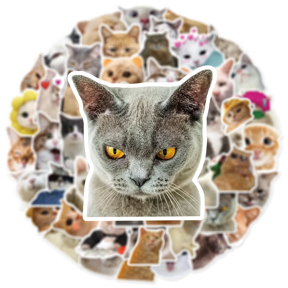 10/30/50pcs Cute Cats Stickers Funny Animal Meme Catoon Decoration Decal DIY Notebook Phone Fridge Car Kawaii Sticker Joke Toys