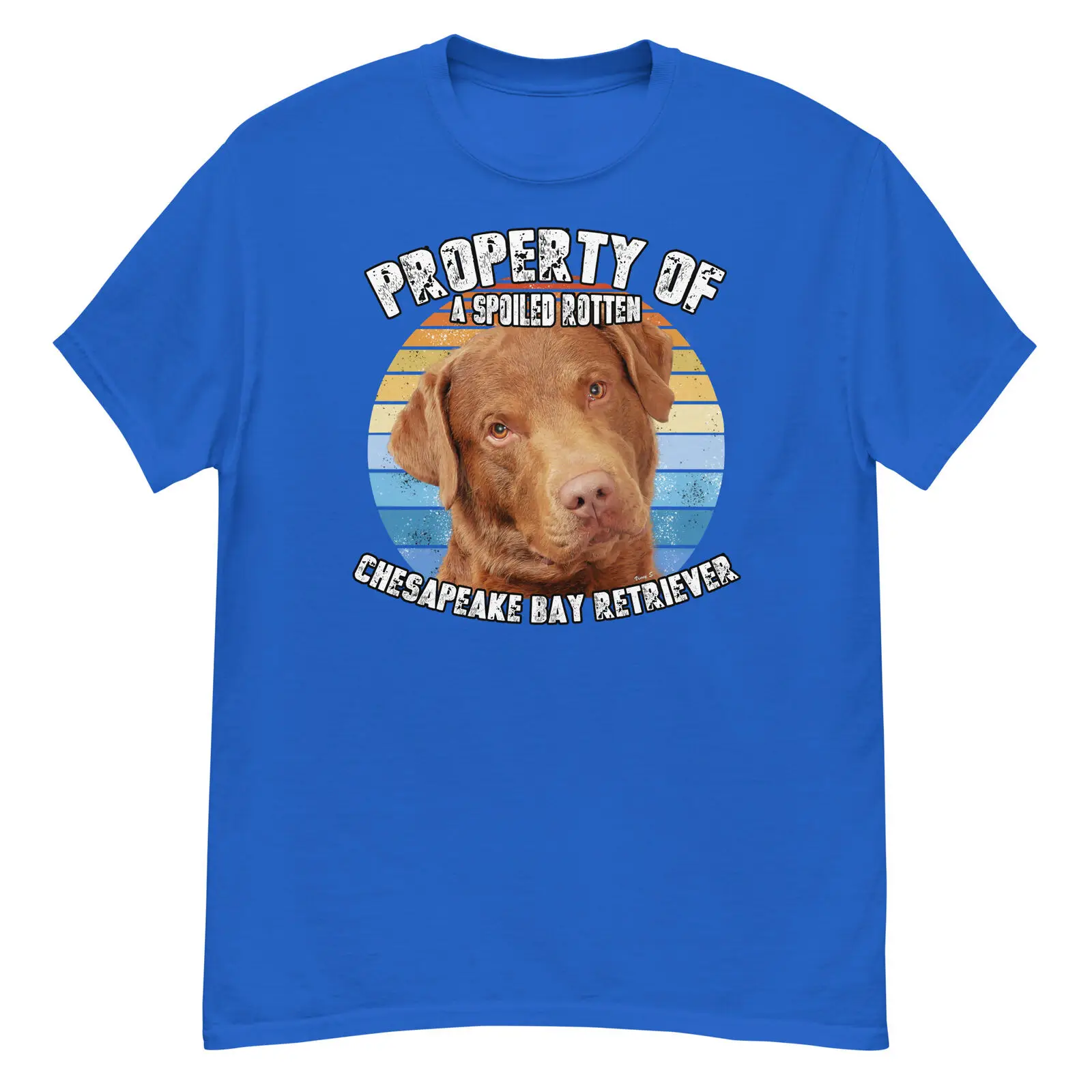 Chesapeake Bay Retriever Chessie Retro Property Of T Shirt